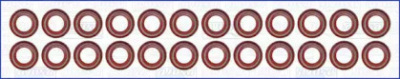 WILMINK GROUP wg1170067 -